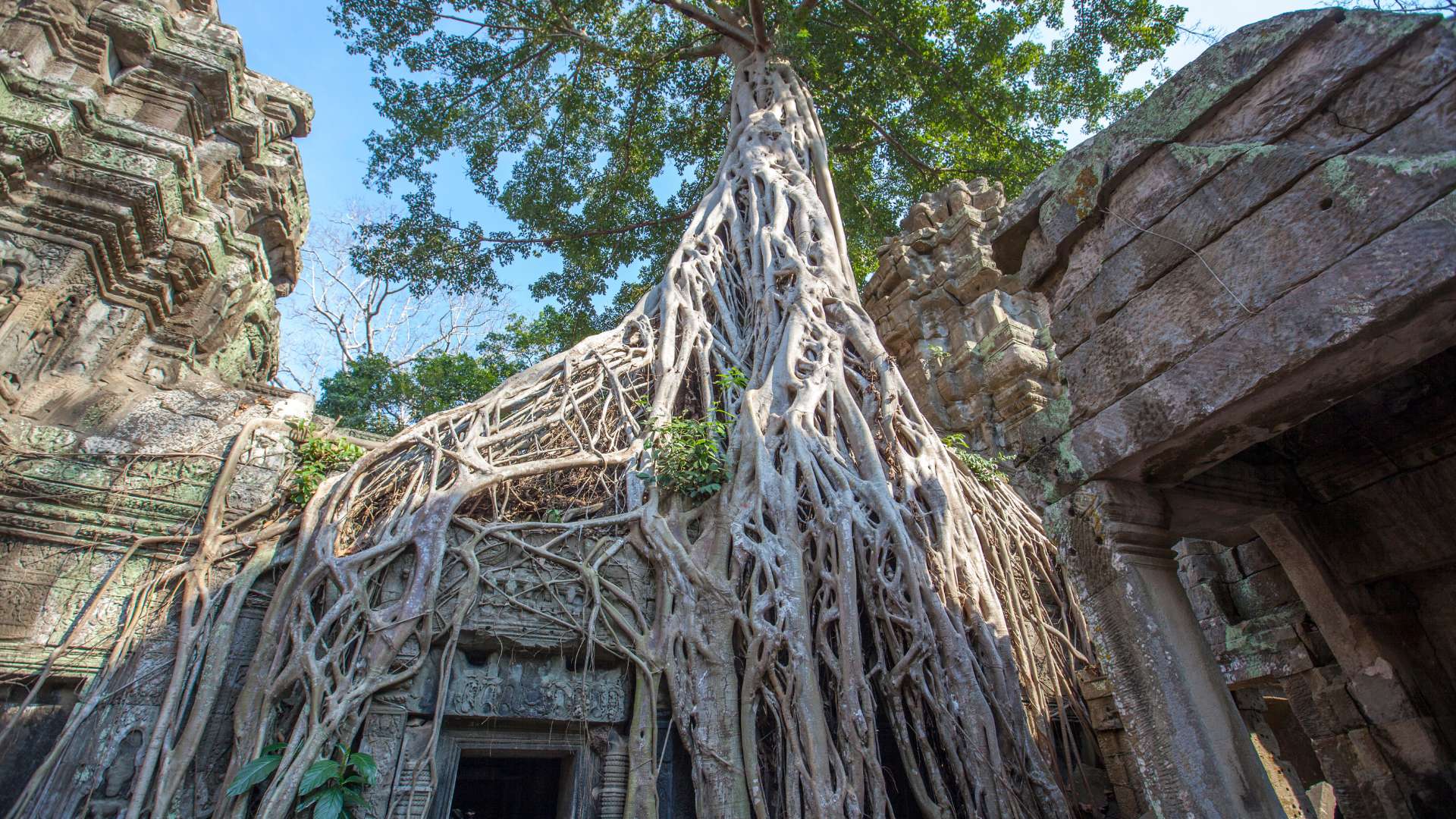 Explorer Angkor Wat et ses environs 3