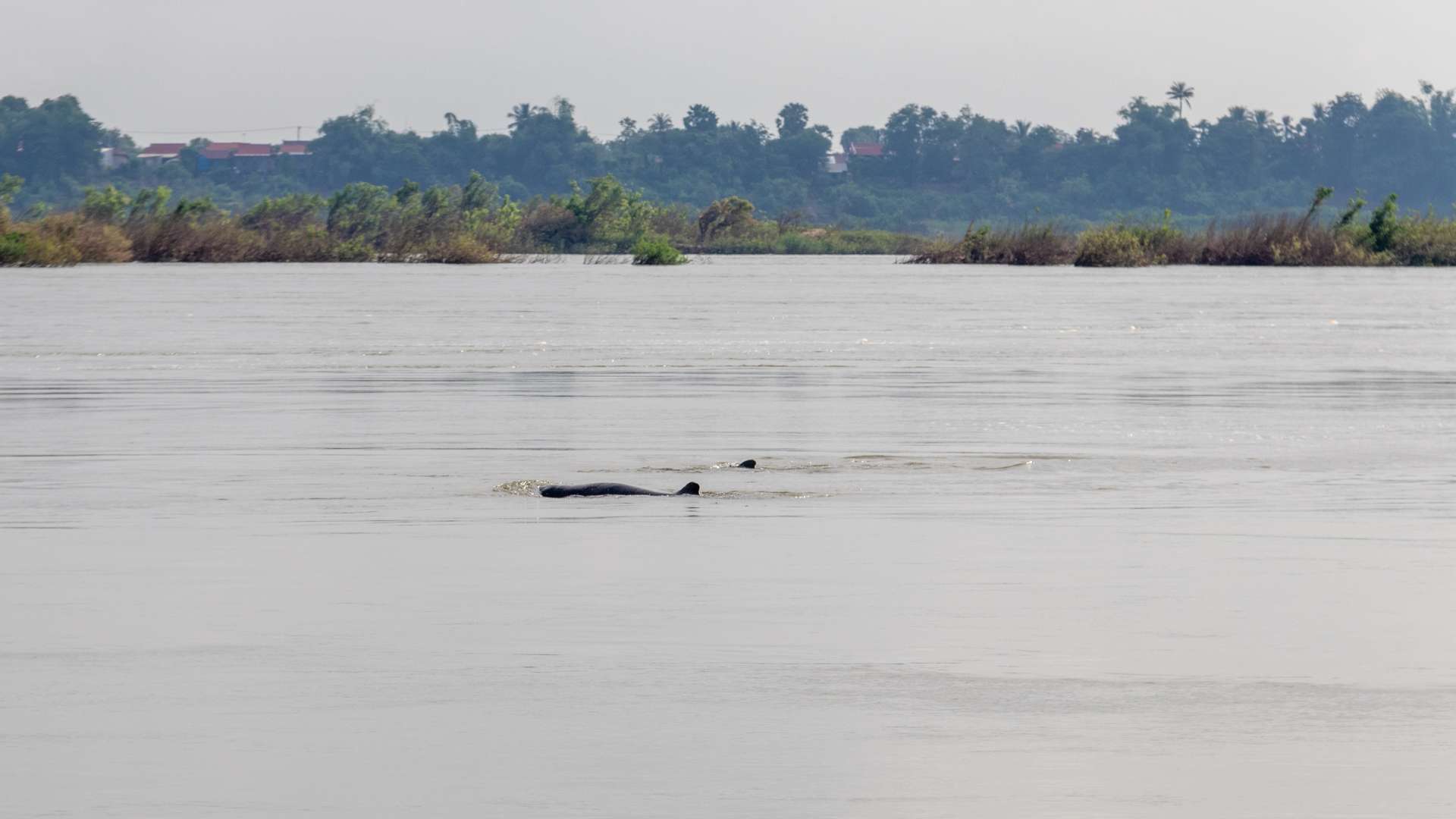 Les Meilleurs Spots Photo au Cambodge 10