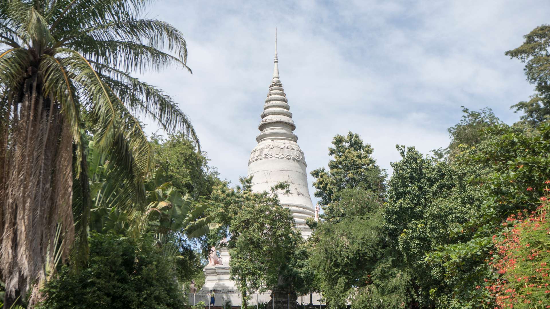 Que faire à Phnom Penh 7